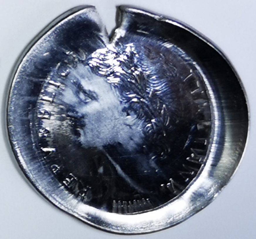 sena coins